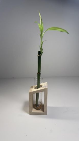 صورة بوكس البامبو